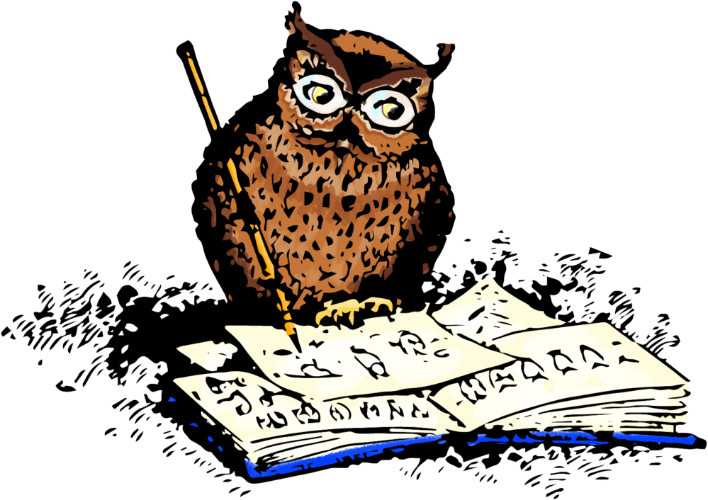 1024 X 784 4 - Owl Writing (1024x784), Png Download