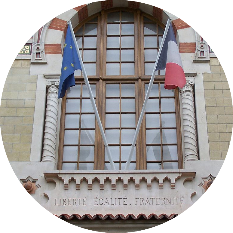 Playing Cat & - Sail (775x775), Png Download