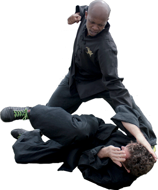 Shyun Eight Step Preying Mantis Kung Fu Is One Of The - Kung Fu (650x779), Png Download