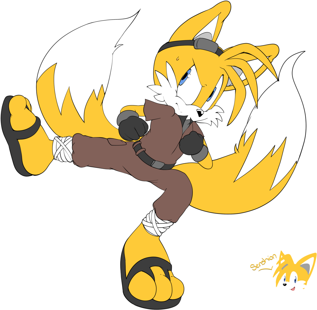 Kung Fu Tails By Senshionart Kung Fu Tails By Senshionart - Kung Fu Tails (1016x992), Png Download