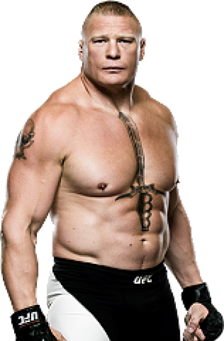 Biography - Brock Lesnar Full Body (460x700), Png Download