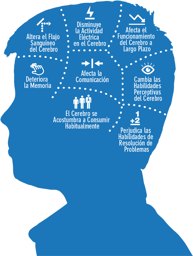 Al Alcohol En Adolescentes Es Crucial - Brain Alcohol (670x876), Png Download