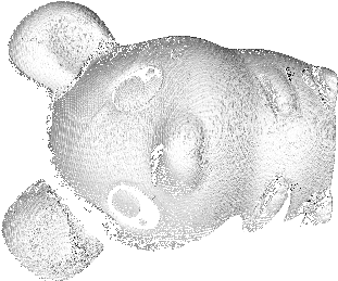Hamtaro Front - Sketch (1024x671), Png Download