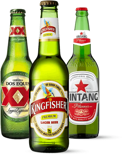 Bottles - Dos Equis Xx (577x588), Png Download