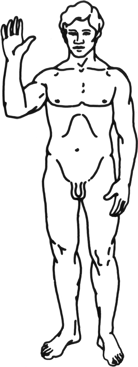 Datoteka - Human-man - Hydrostatic Pressure When Standing (461x1225), Png Download