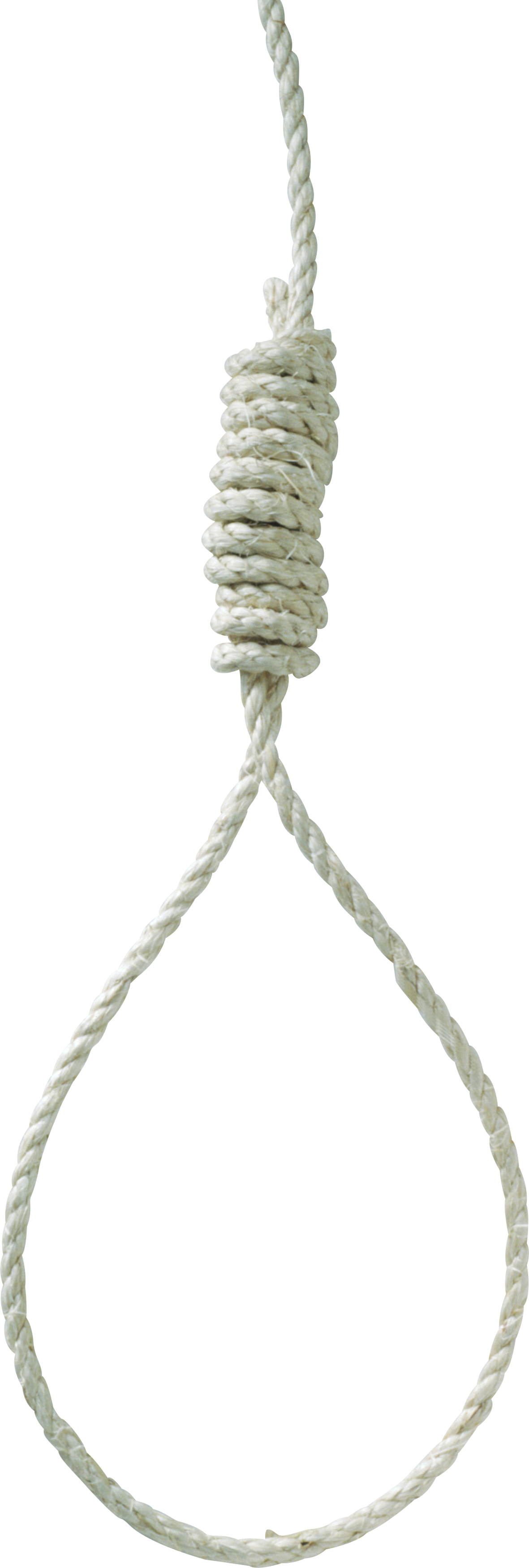 Best Free Rope Png Picture - Rope Loop Transparent (1181x3500), Png Download