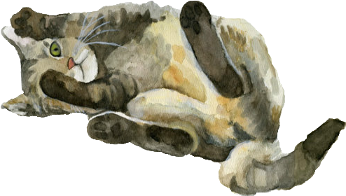 “ Made Transparent By The Transparent Galaxy ” - Tabby Cat Watercolor (500x385), Png Download