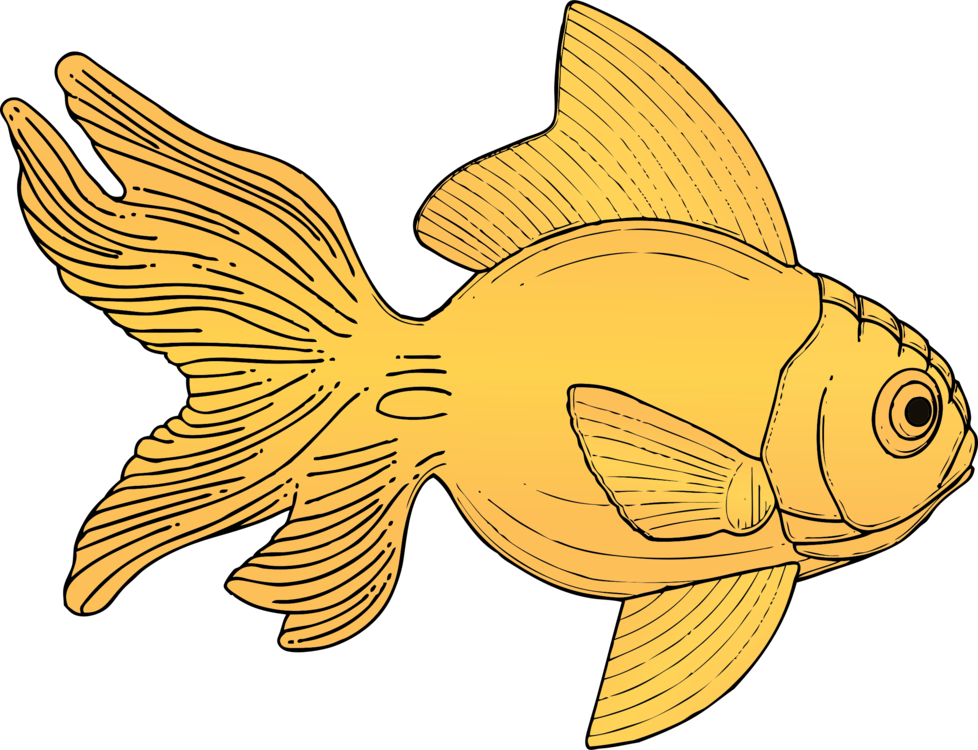 Goldfish Drawing Mosaic Gold - Gold Fish Clip Art (978x750), Png Download