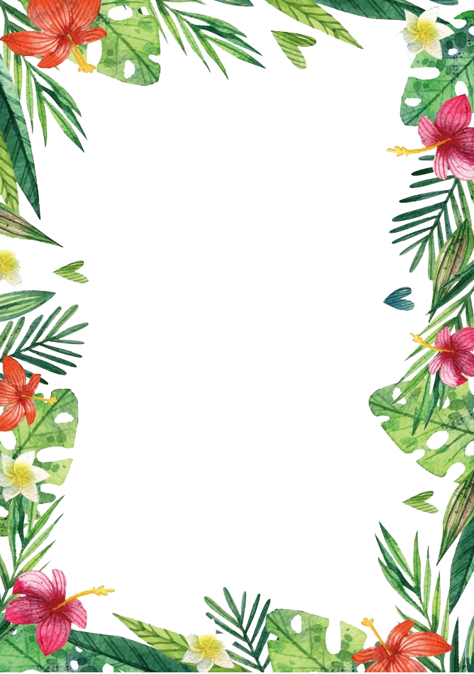 Hawaii Des Fleurs Gratuit Png Et Clipart - Background Exo (668x950), Png Download