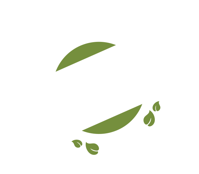 Sunlight (736x736), Png Download