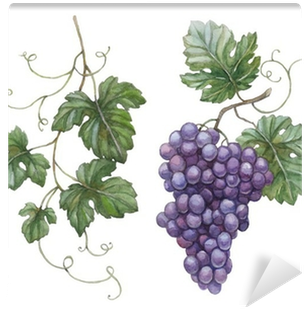 Watercolor Illustration Of Grapes With Leaves Wall - Illustration With Grapes And Leaves (400x400), Png Download