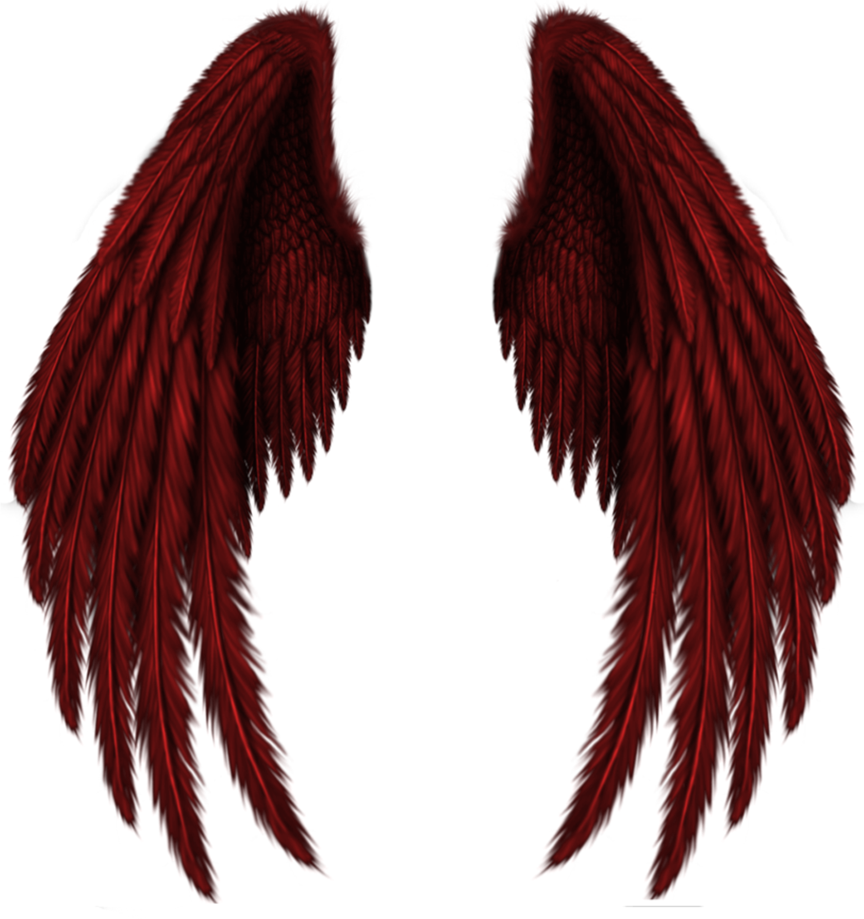 Transparent Red Wings Png Clipart Picture - Angel Black Wings Png (1731x1859), Png Download