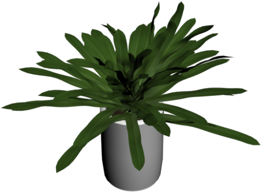 Houseplant (1000x1000), Png Download