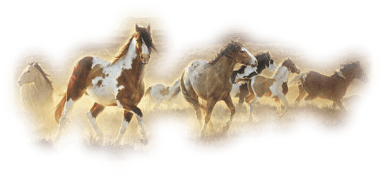 Westernbeddingdecor - Horse Mountains Painting (542x250), Png Download