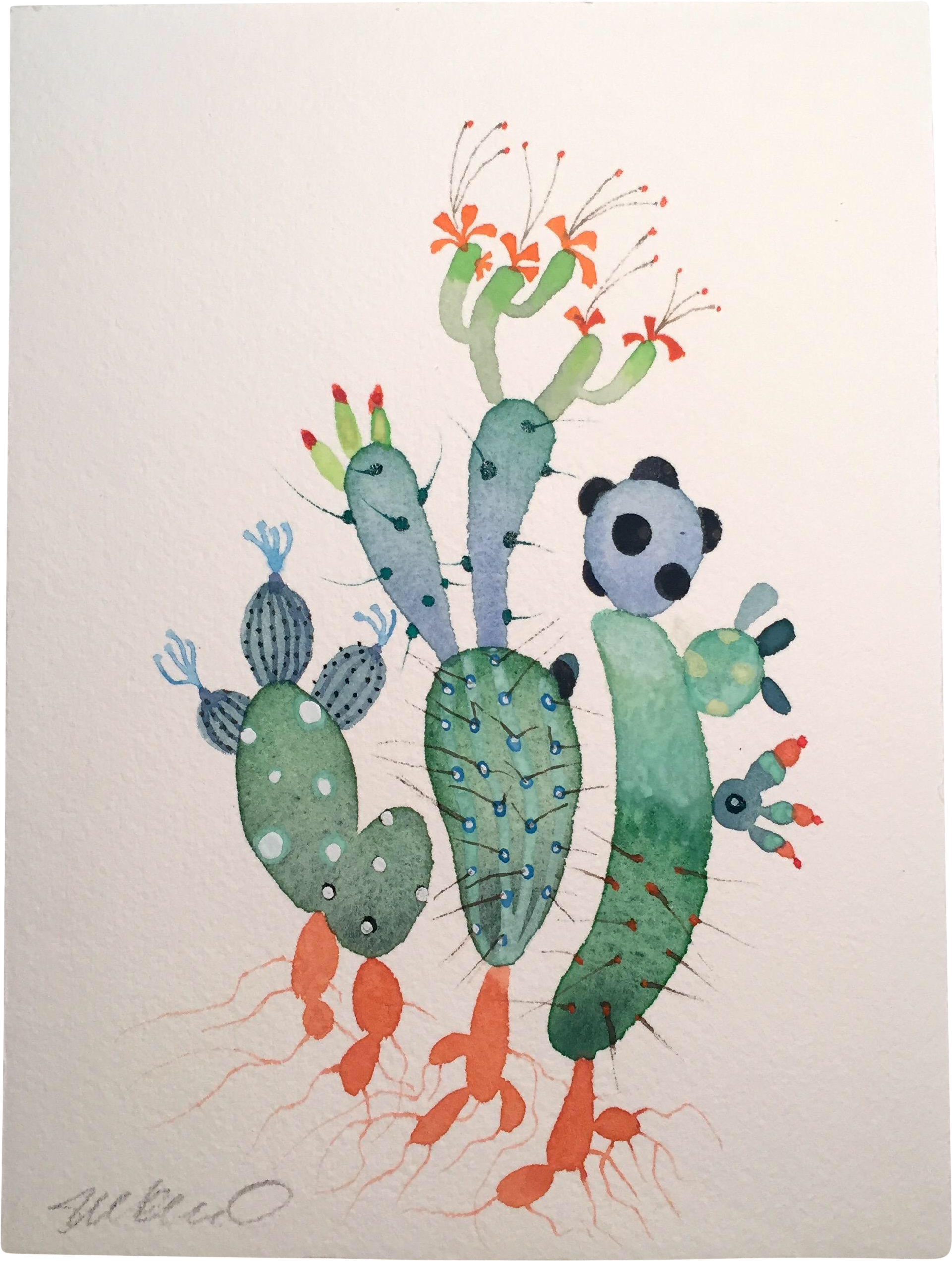 "defense" Watercolor Painting - Barbary Fig (2132x2824), Png Download