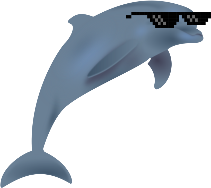 Dolphin Silhouette Animal Fish - Dolphins Clipart Png (833x750), Png Download