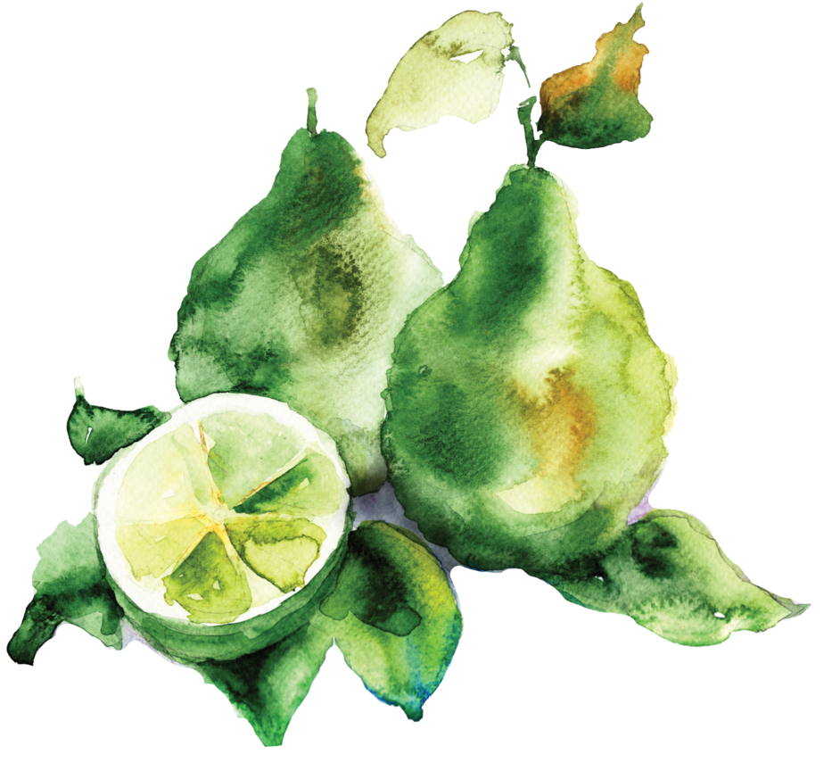 Bergamot Vector - Son Secret Lambre (1000x897), Png Download