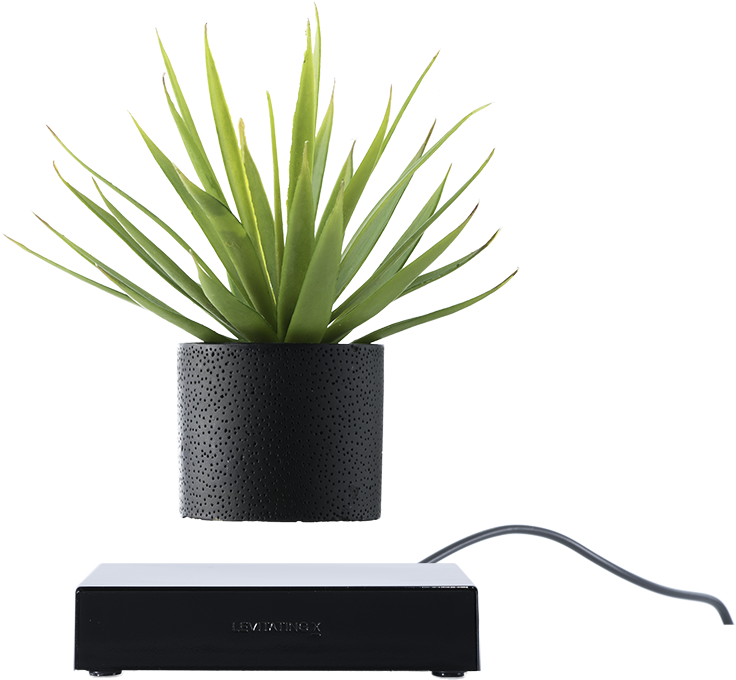 Wired Base Black - Levitating Plant Png (1000x1000), Png Download