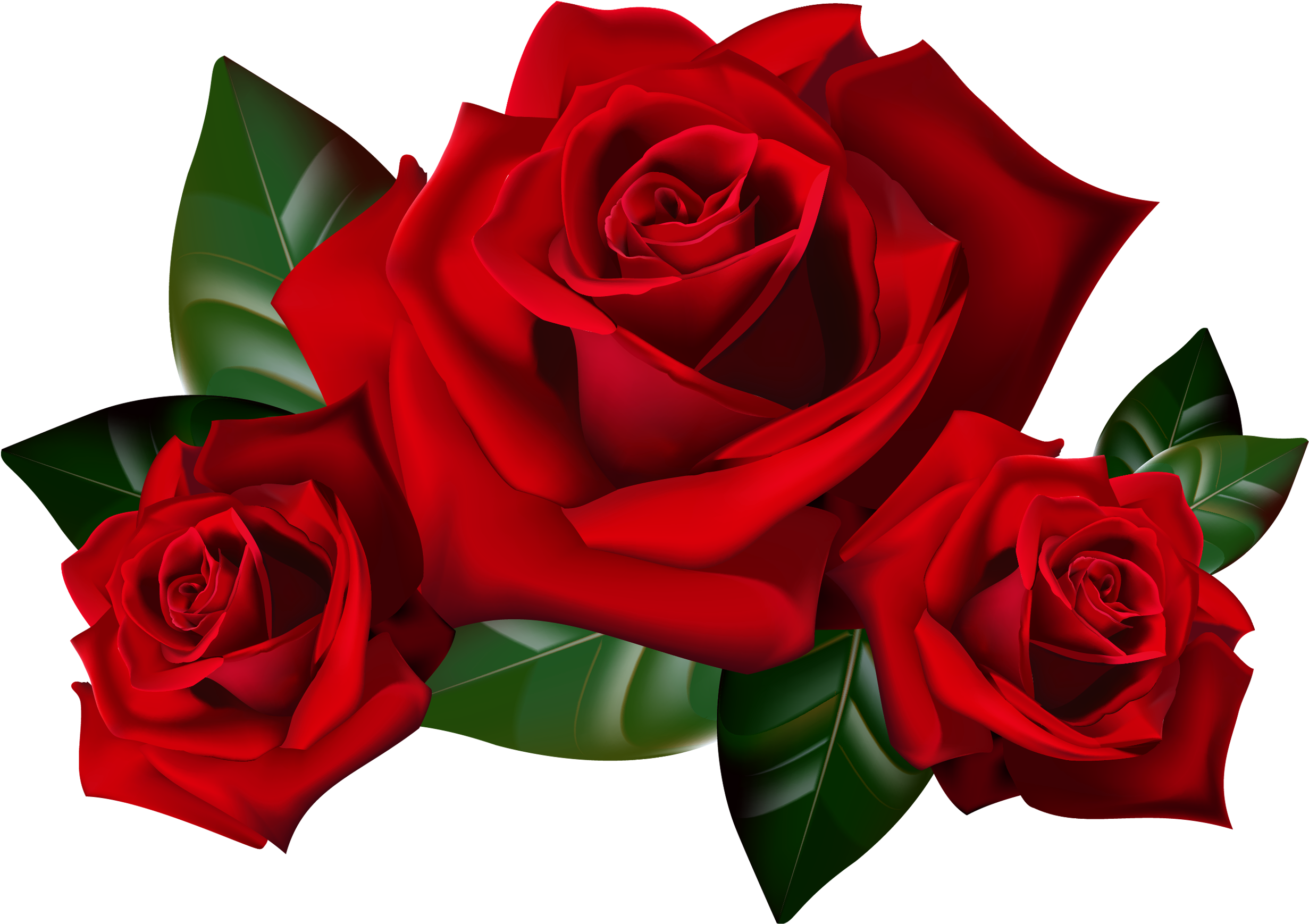 Red Rose Png Transparent Image - Red Roses Clipart (2586x1840), Png Download