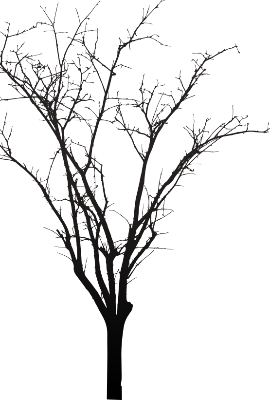 Tree - Costume (555x821), Png Download