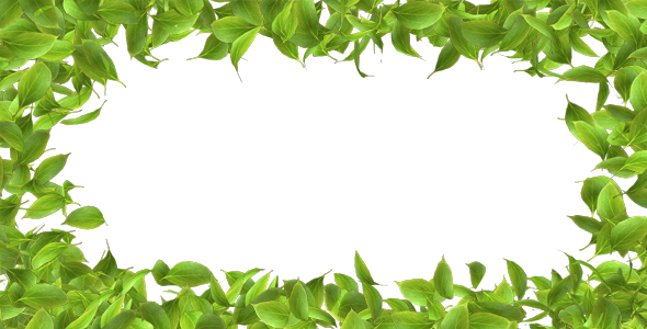 Nature Borders For Project (590x300), Png Download