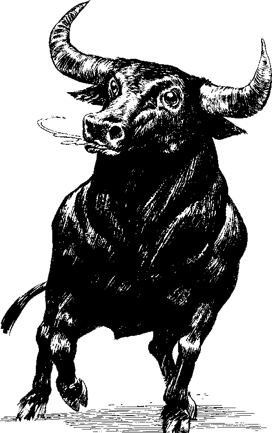 Bull Transparent Png - Bull Png (547x870), Png Download