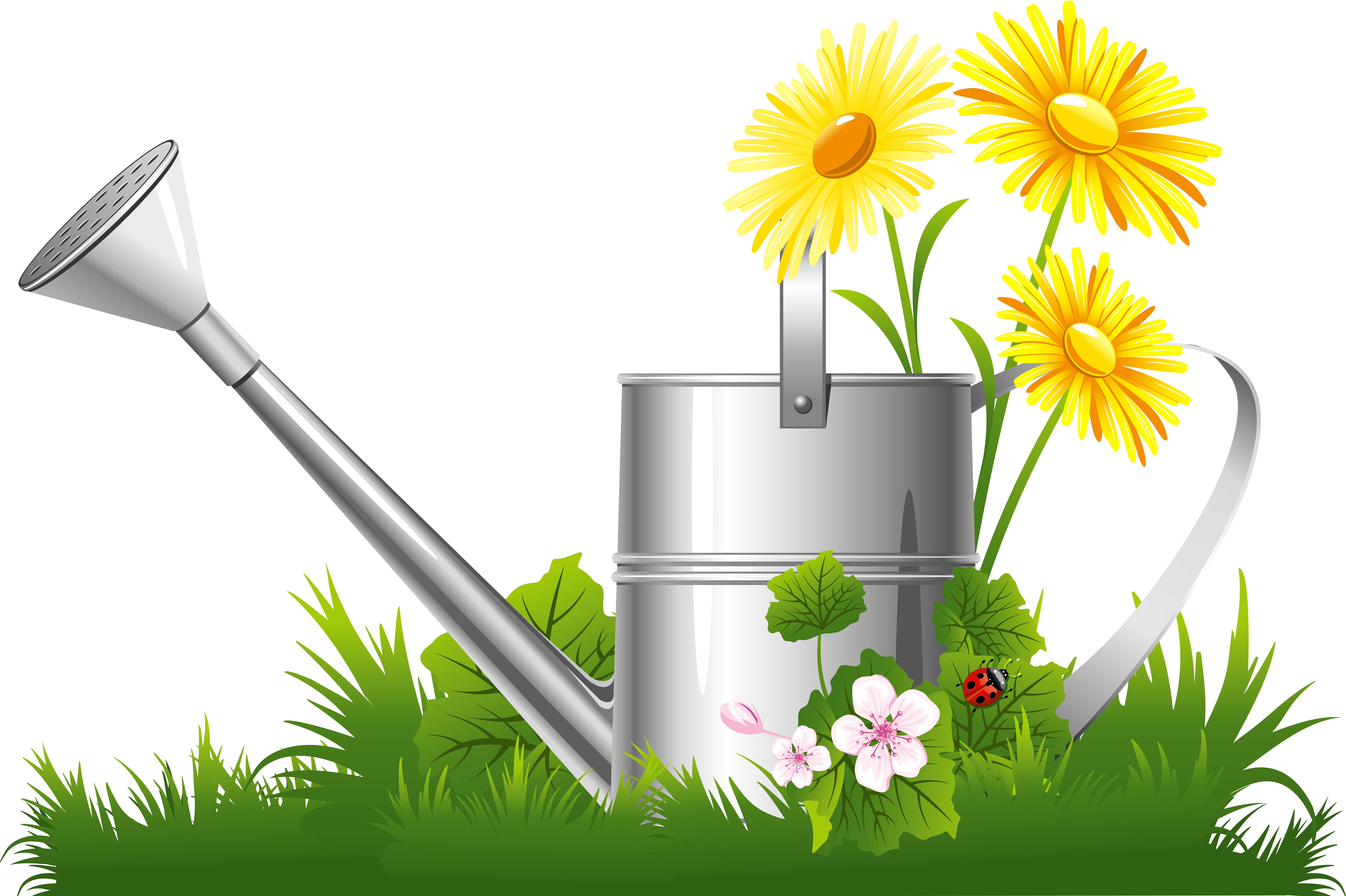 Jpg Black And White Library Spring Decoration Water (9348x6350), Png Download