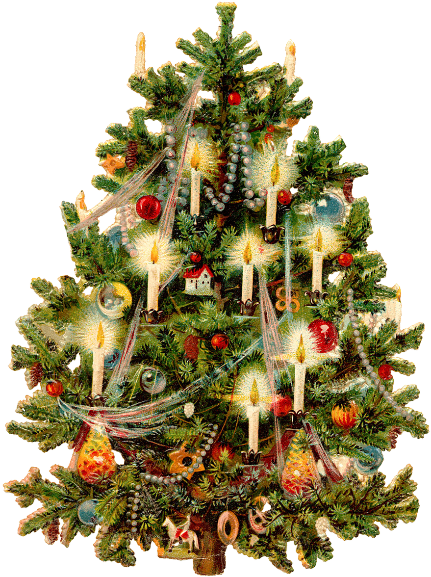 Christmas Tree Free Png Transparent Background Images - Old Fashion Christmas Tree (768x1005), Png Download