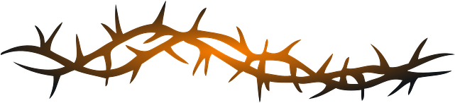 Barbed Wire Pixabay - Arame Farpado Png (640x320), Png Download