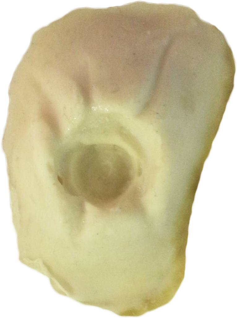 Sfx Bullet Hole Wound Sfx Bullet Hole Wound - Wound (1200x1200), Png Download