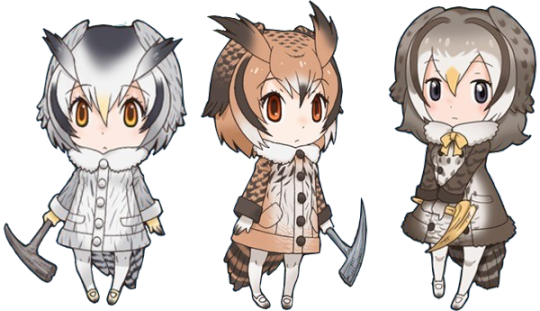 Northern White Faced Owl Kemono Friends (540x311), Png Download