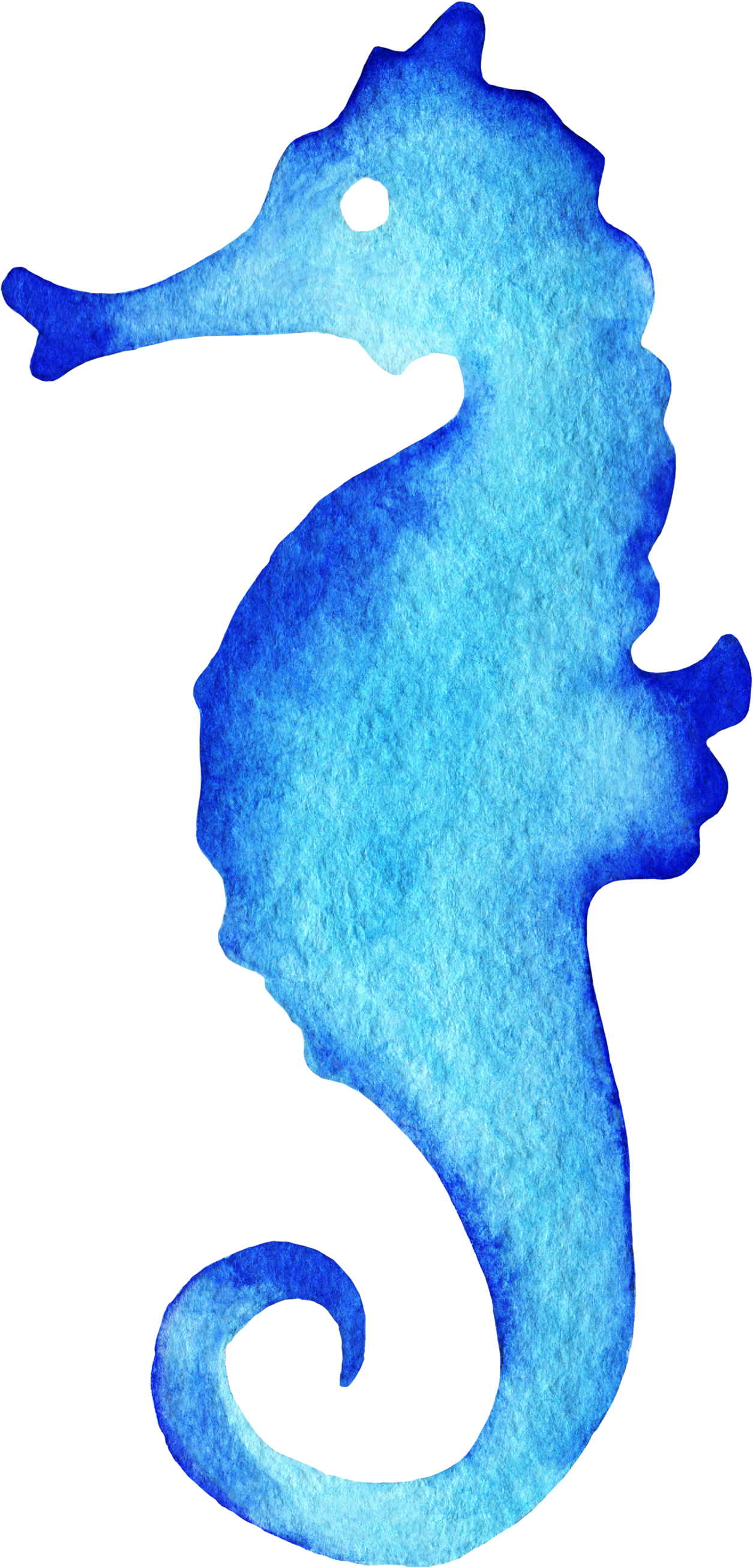 Seahorse Watercolor Painting Drawing - Caballito De Mar Dibujo (1700x2800), Png Download