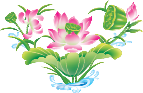 Flores - Sacred Lotus (490x320), Png Download