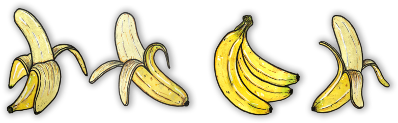 Bananas Watercolor 1 - Portable Network Graphics (1000x349), Png Download