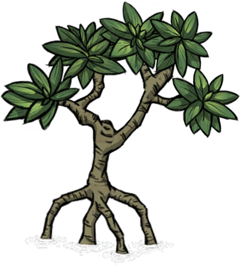 Mangrove Tree - Dont Starve Trees (839x917), Png Download