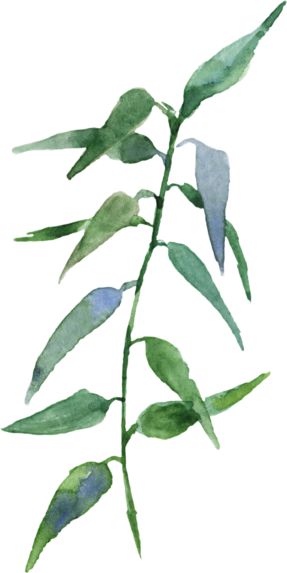 H Background Pinterest - Watercolor Painting (1236x2100), Png Download