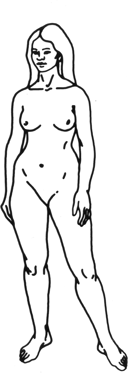 File - Human-woman - Pioneer Plaque (420x1221), Png Download