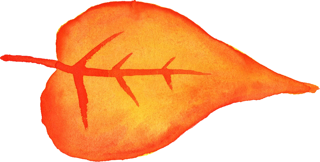 Free Download - Invertebrate (1018x517), Png Download