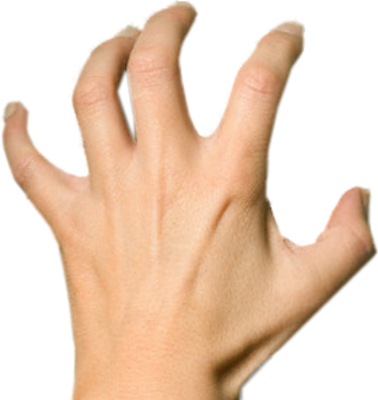 Vector Hands Png 손 Psd를 긁 적, 벡터 이미지 - Body Parts Png (378x400), Png Download