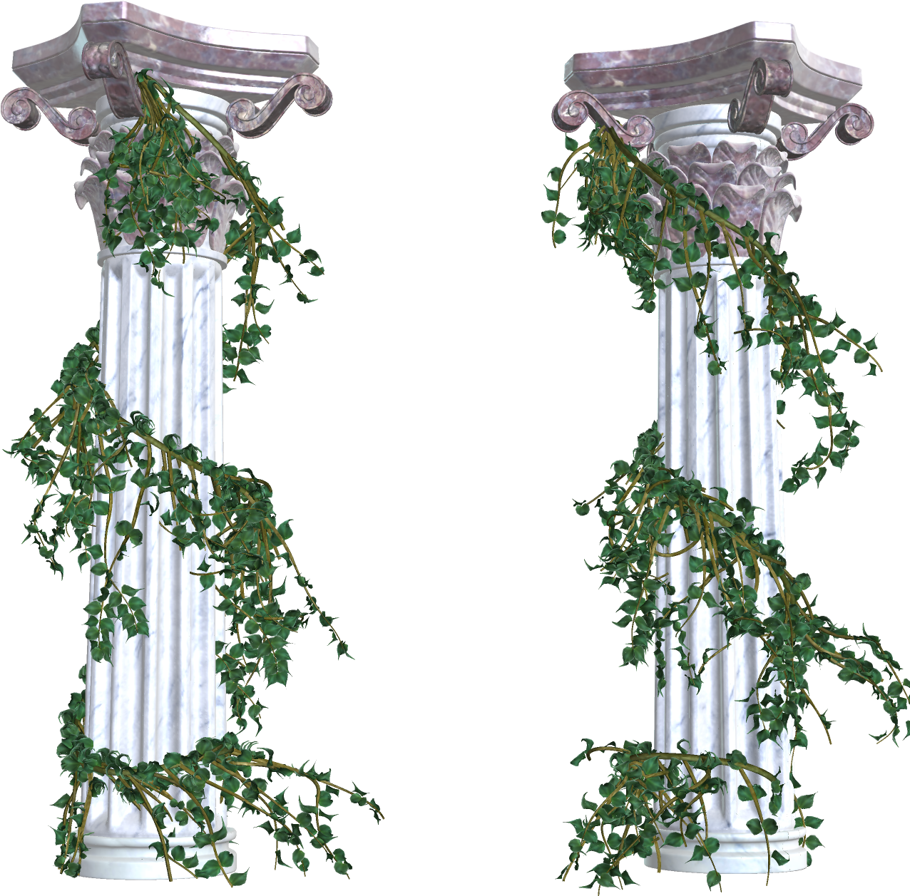 Vines Transparent (1299x1308), Png Download