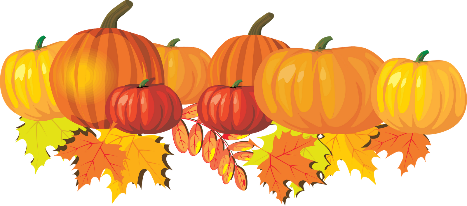 Thanksgiving Pumpkin Png Photos - Fall Clip Art (1600x707), Png Download