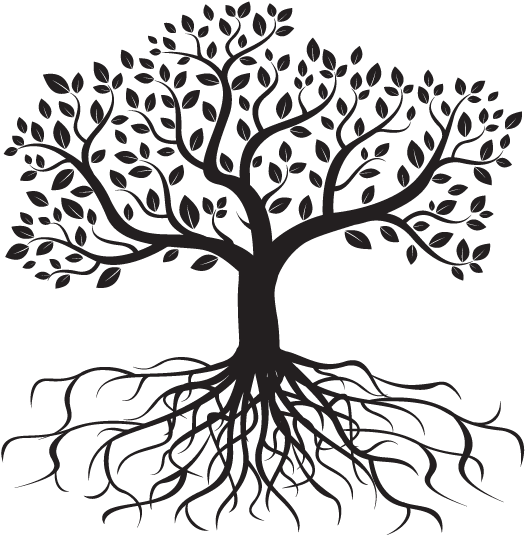 Roots Drawing Black And White - Arbol De La Vida Con Raices (616x568), Png Download