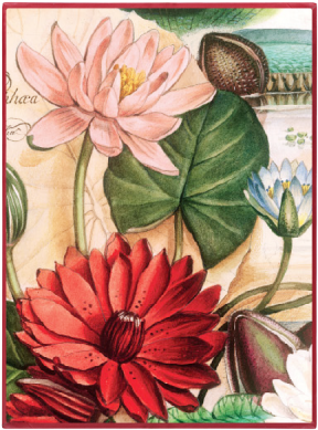 Greetings Card Water Painting (440x440), Png Download