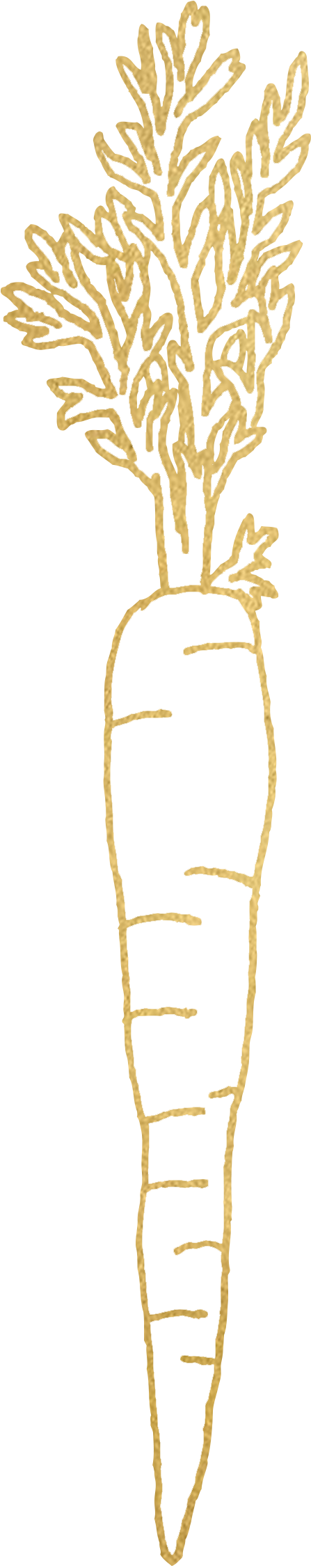 Carrot - Carrot - Carrot - Carrot - Carrot (2048x2048), Png Download