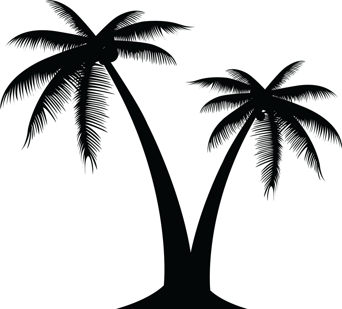 Black Palm Tree Clip Art - Palmera Blanco Y Negro Png (1181x1181), Png Download