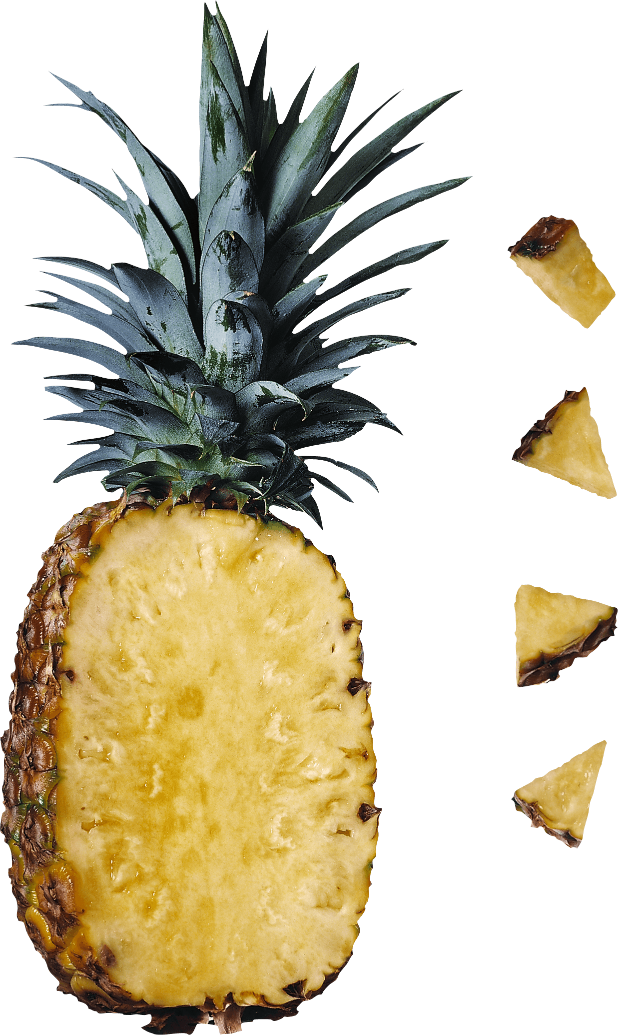 Pineapple Png Transparent File - Catalase Enzyme Rich Food (1237x2069), Png Download