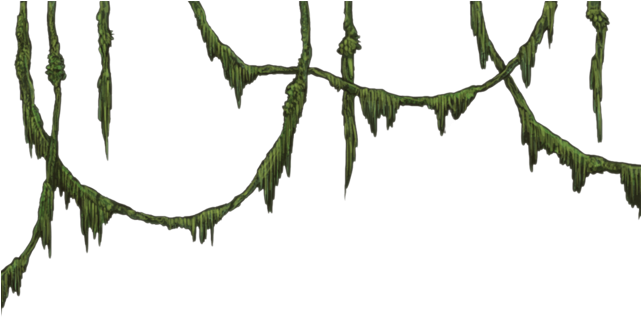 Vines Png - Jungle Png (640x500), Png Download
