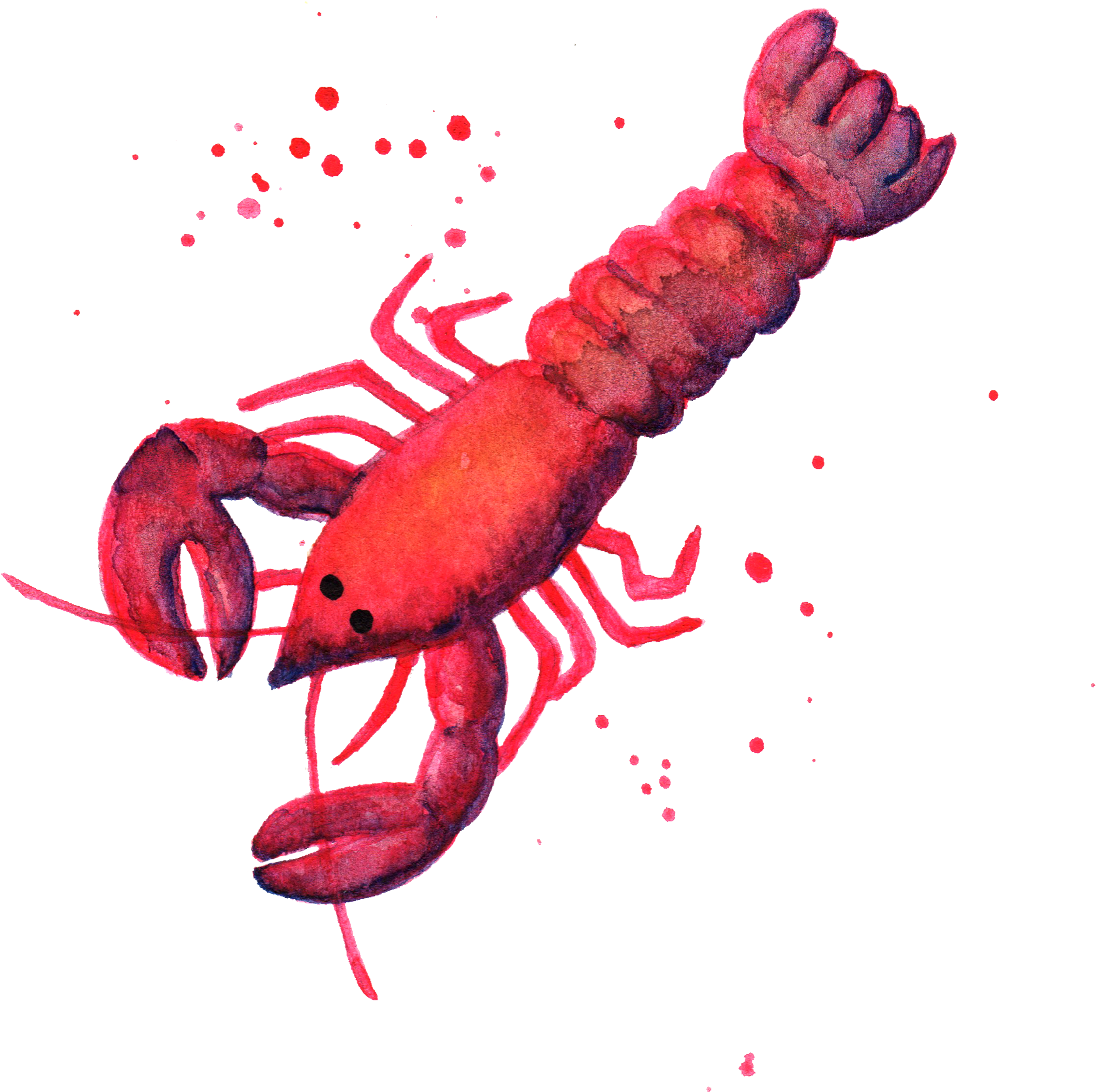 Lobster Dolphin By Chrystal Elizabeth - Lobster Png (3000x3000), Png Download