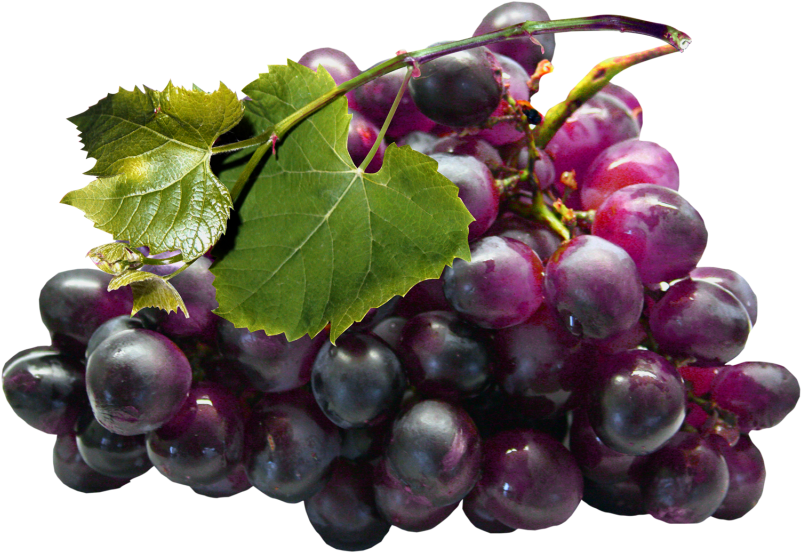 Grape Seed Extract Png (810x560), Png Download