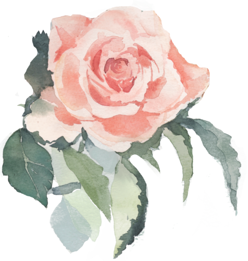 Wedding Photographer In Greece - Peach Coral Floral Garden, 24-pack Round Circle Gift (500x525), Png Download